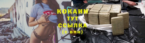 сатива Алексин
