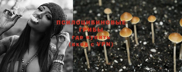 сатива Алексин